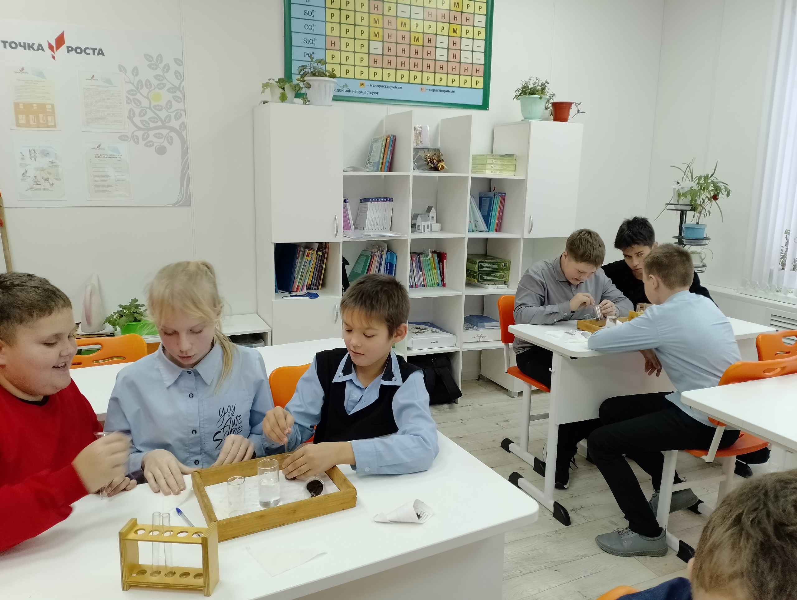 Практическая работа &amp;quot;Определение кислотности почвы&amp;quot;