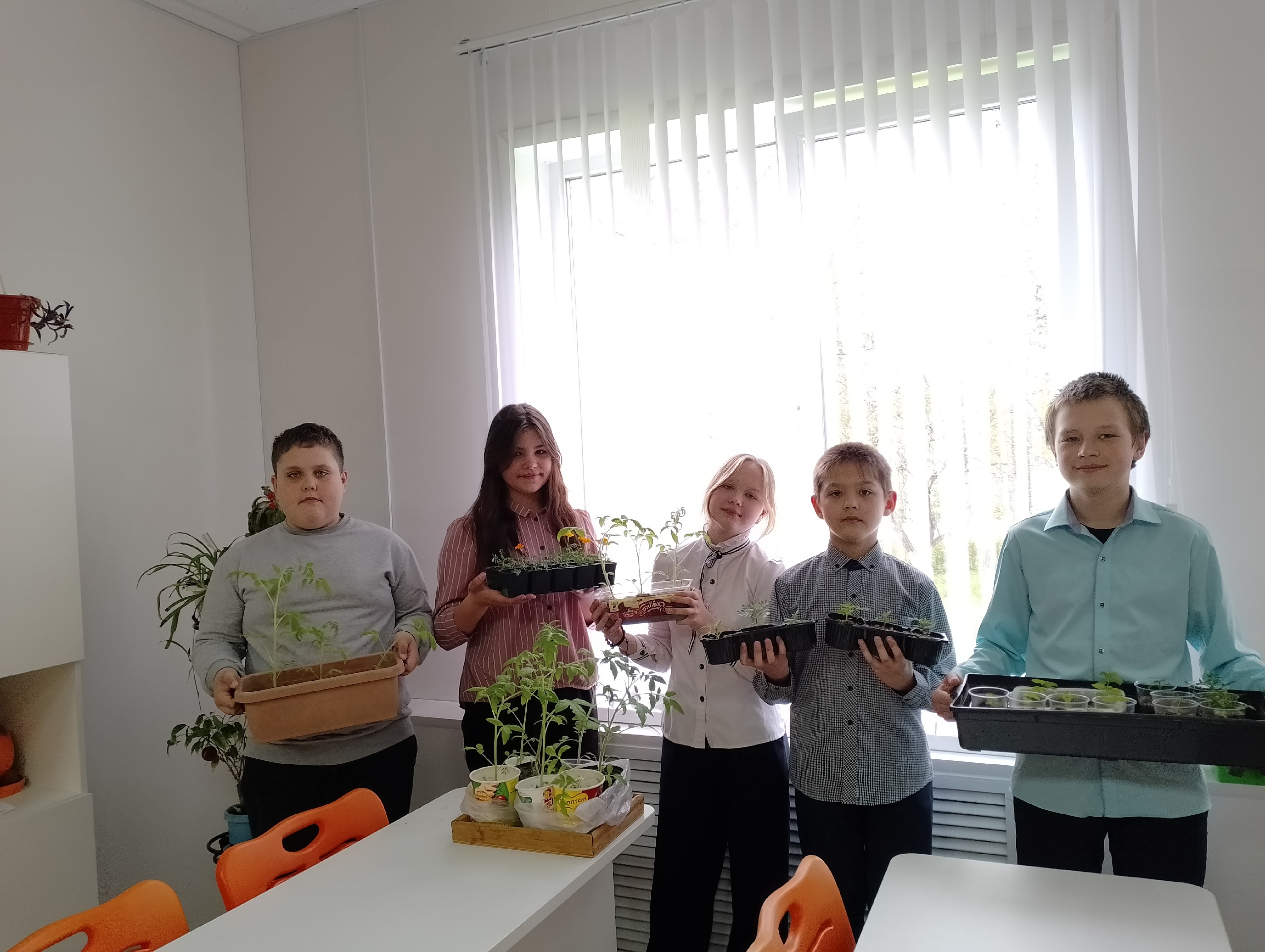 Рассада к высадке готова!