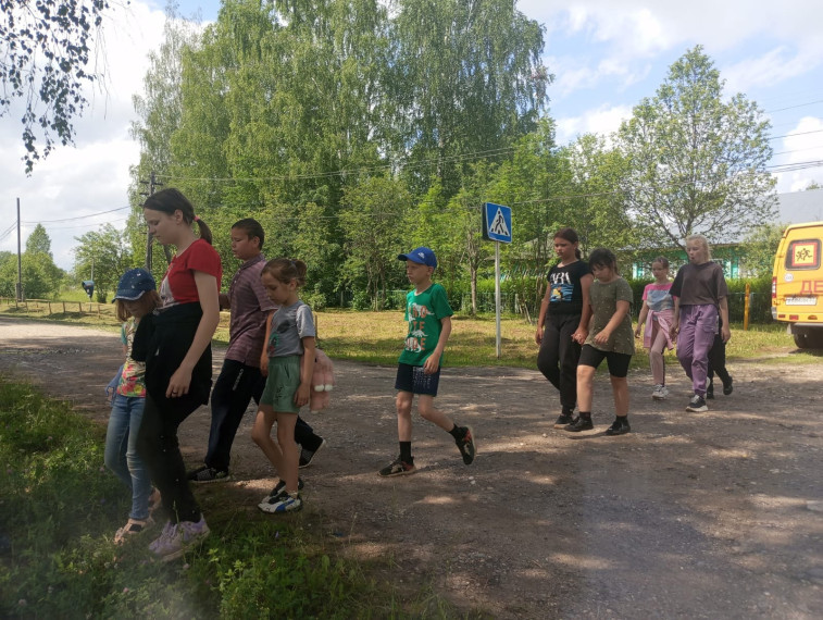 "Зелёная волна".