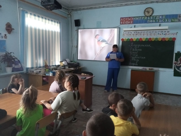 Экологический день.